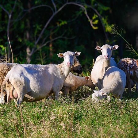 Willa Hacienda La Huerta Puerto Plata, 1 Bdr Zewnętrze zdjęcie