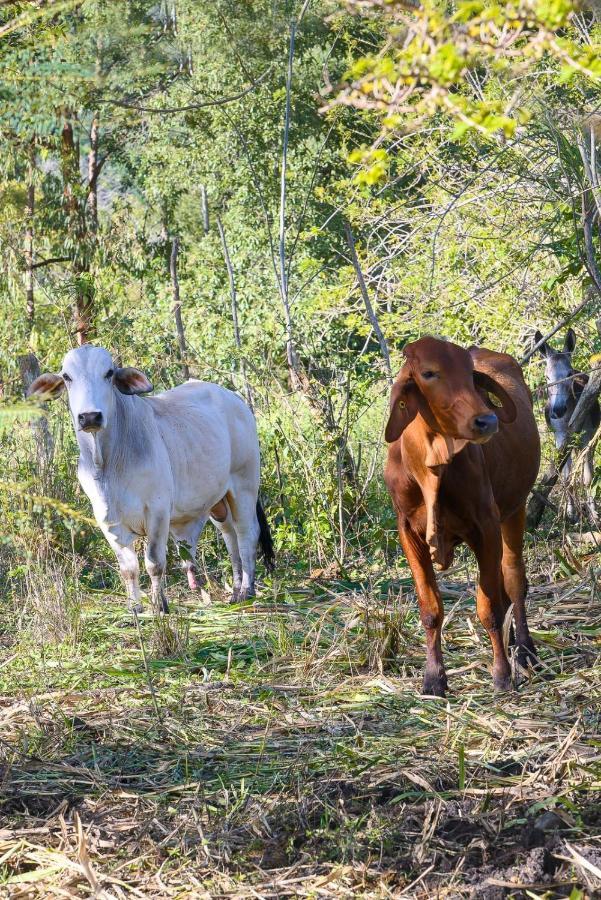 Willa Hacienda La Huerta Puerto Plata, 1 Bdr Zewnętrze zdjęcie