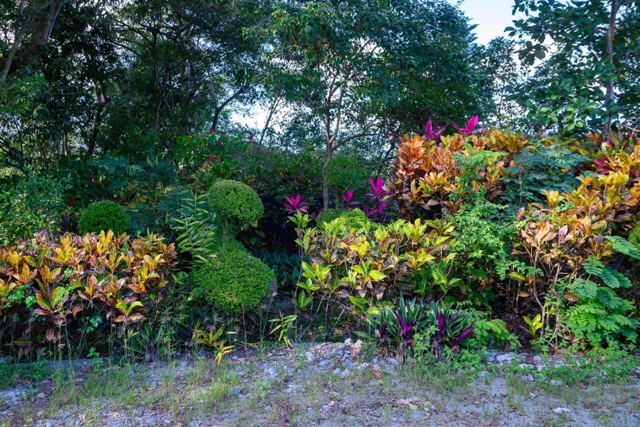 Willa Hacienda La Huerta Puerto Plata, 1 Bdr Zewnętrze zdjęcie